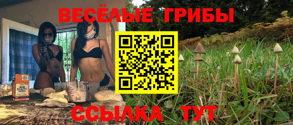 Псилоцибиновые грибы Psilocybe Сегежа
