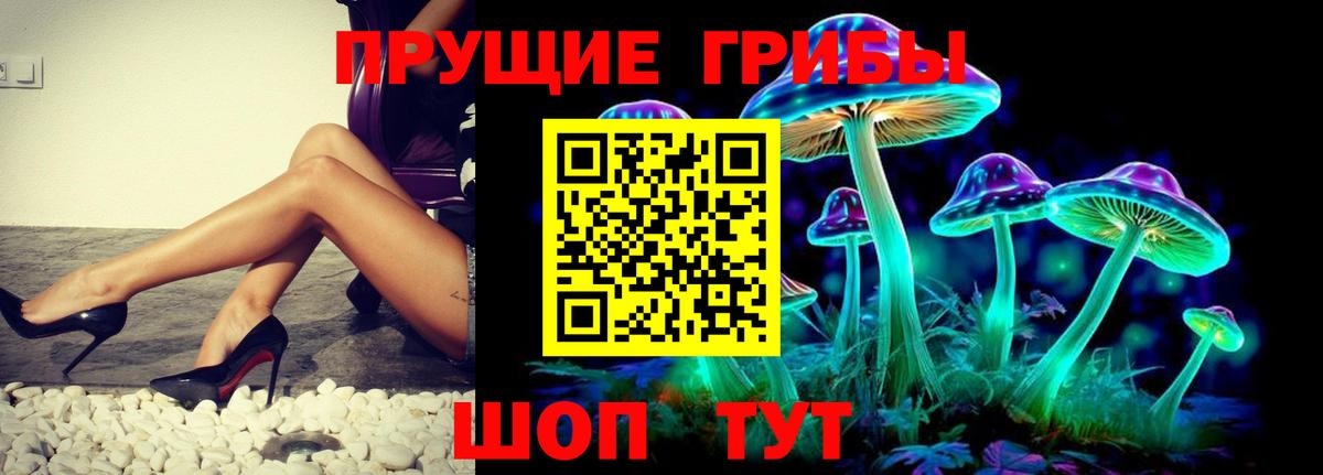 даркнет сайт  Галлюциногенные грибы ЛСД  Вход с VPN  Сегежа 