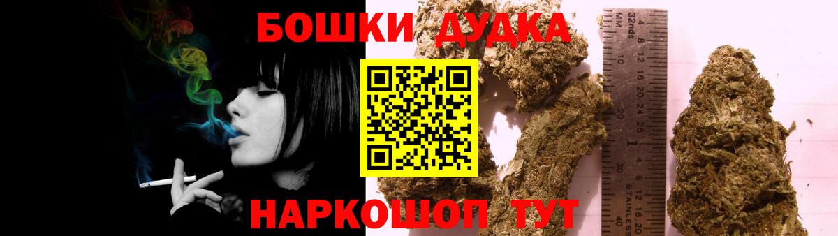 Бошки Шишки гибрид Сегежа